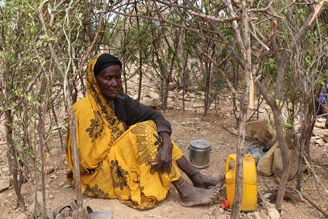 “People are dying. The world must act now to stop this!