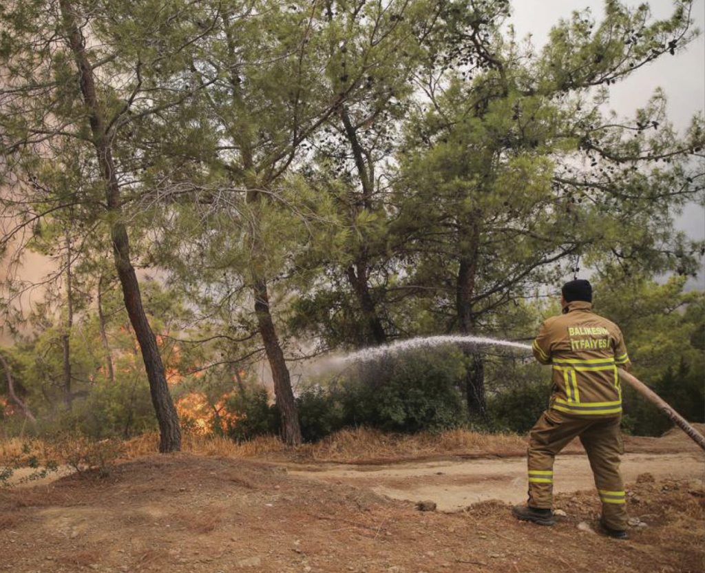 2021 turkeybushfire landingpage image2